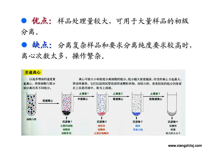 離心機(jī)知識(shí)圖解大全