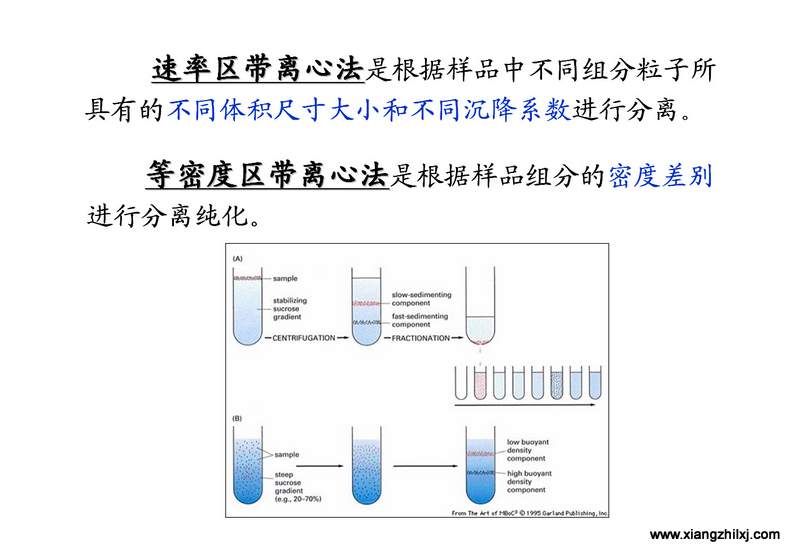 離心機(jī)知識(shí)圖解大全