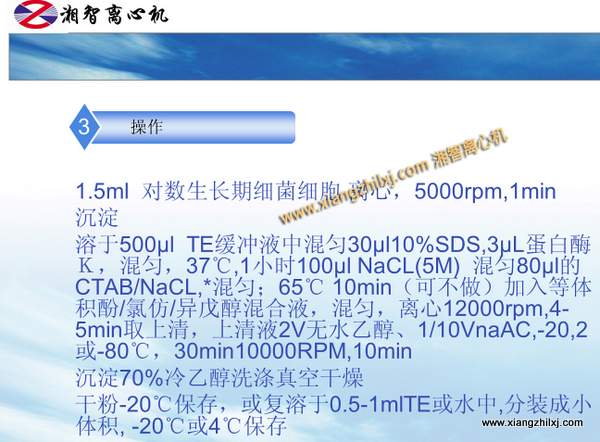 用高速離心機提取細菌DNA的課件