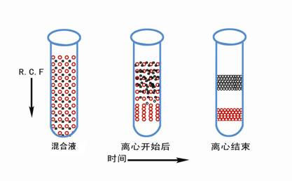 醫(yī)用離心機(jī)常用的離心方法