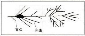 節(jié)點和芒線示意圖