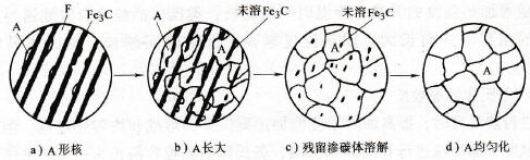 共析鋼中奧氏體形成過(guò)程示意圖